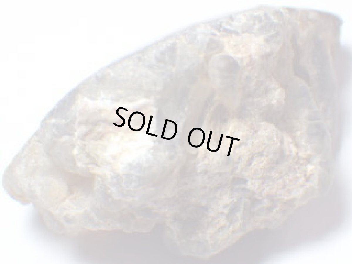 画像3: ファイアアゲート一面磨きＥ (3)