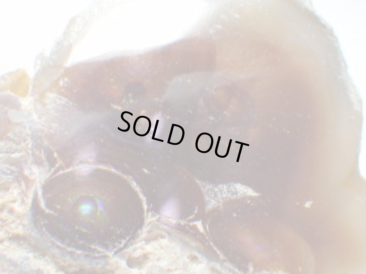 画像2: ファイアアゲート一面磨きＥ (2)