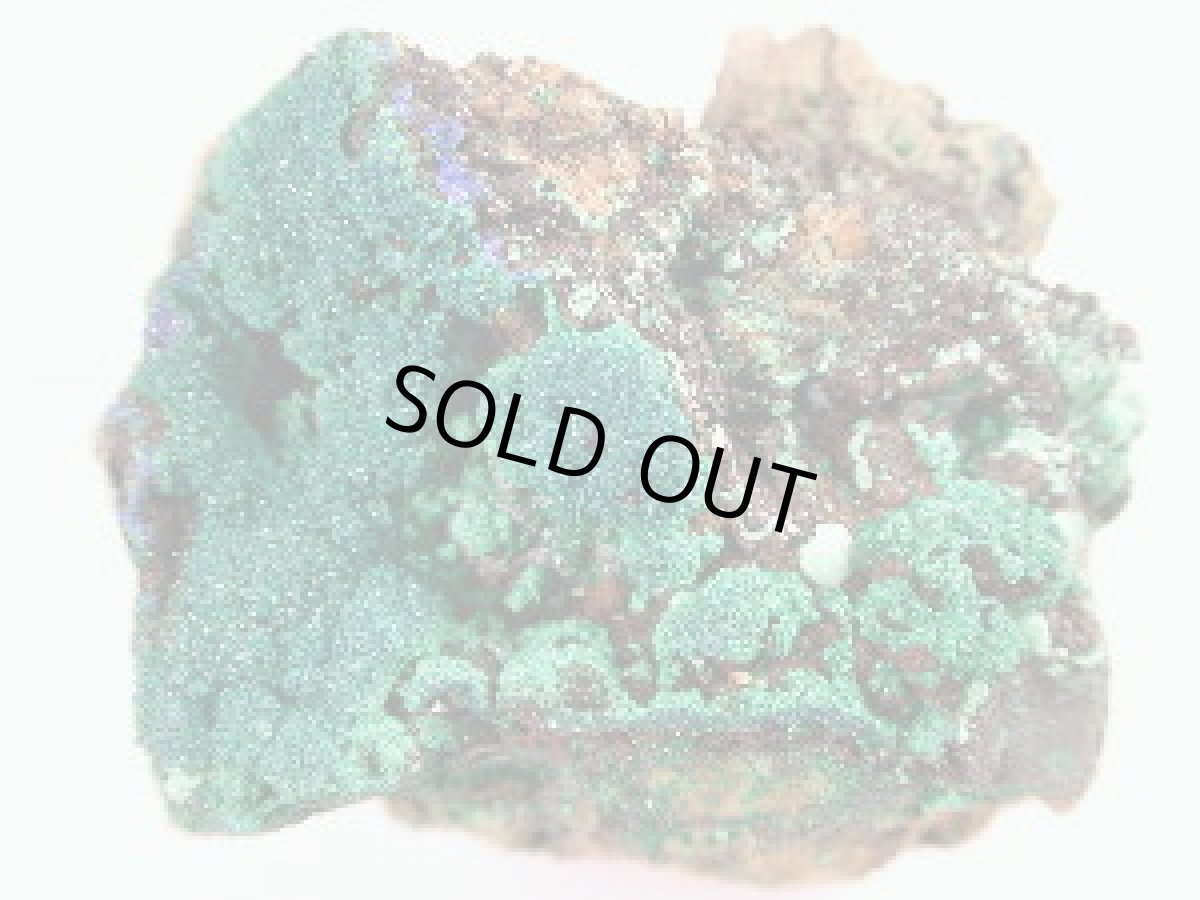 画像1: アズルマラカイトＯ (1)