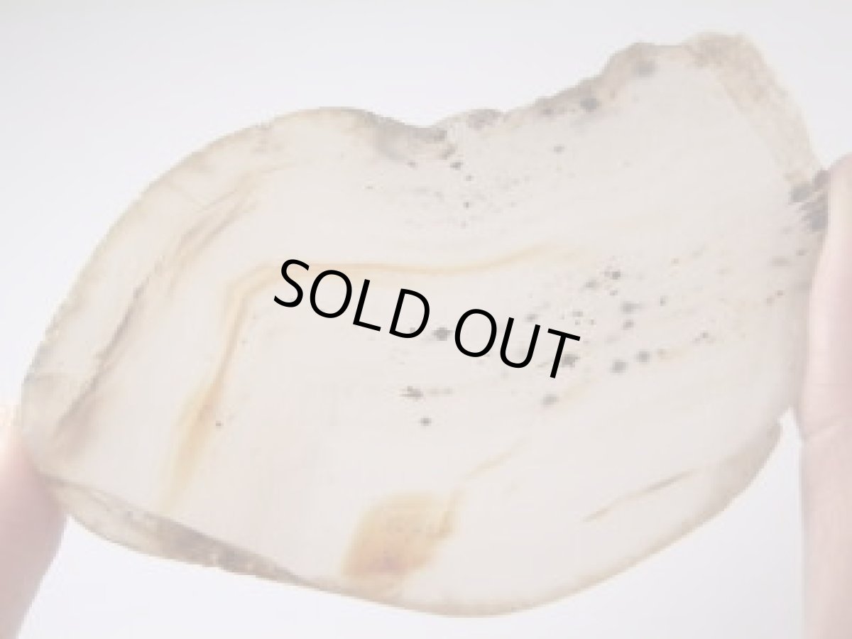 画像2: モンタナアゲートＣ (2)