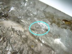 画像6: マダガスカル産水入り水晶磨きポイントＡ (6)
