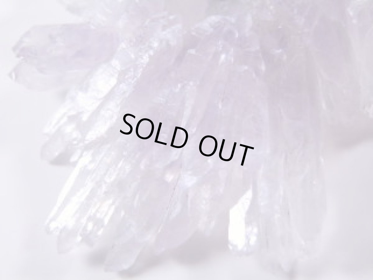 画像3: アメジストフラワーＪ (3)