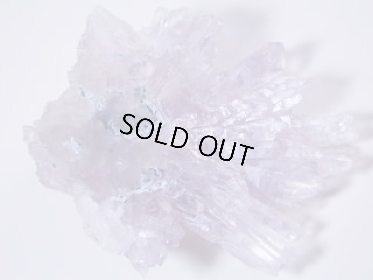 画像2: アメジストフラワーＪ (2)