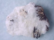 画像1: 母岩付アストロフィライトＢ (1)