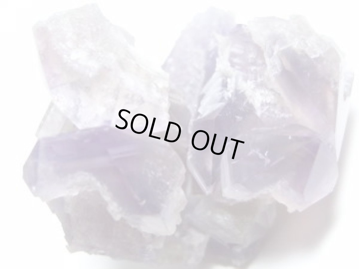 画像3: 蝕像アメジストＦ (3)