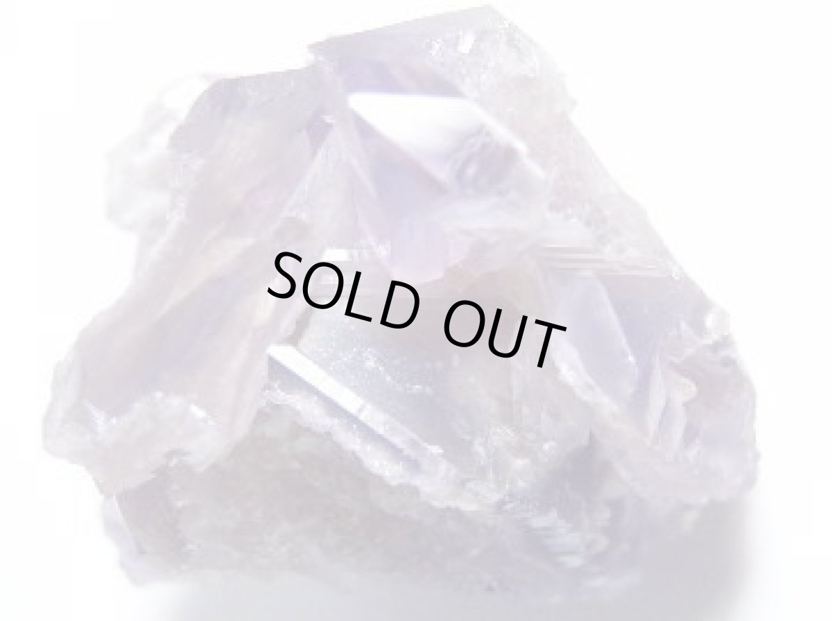 画像4: 蝕像アメジストＦ (4)