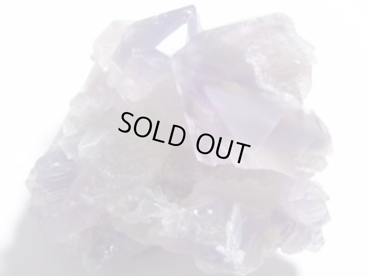 画像7: 蝕像アメジストＦ (7)