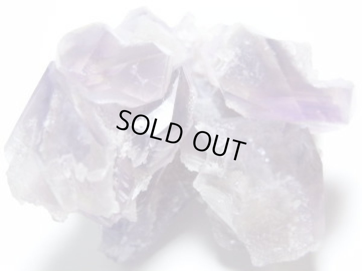 画像6: 蝕像アメジストＦ (6)