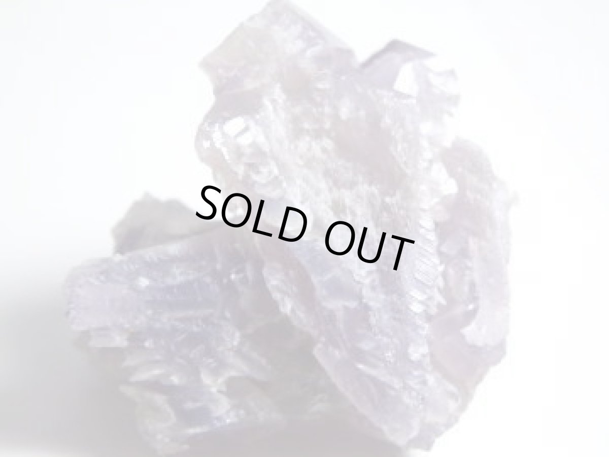 画像2: 蝕像アメジストＦ (2)