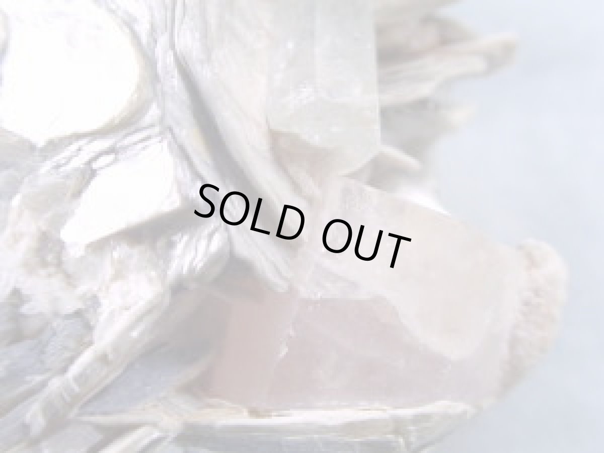 画像4: ピンクアパタイト／アクアマリン (4)