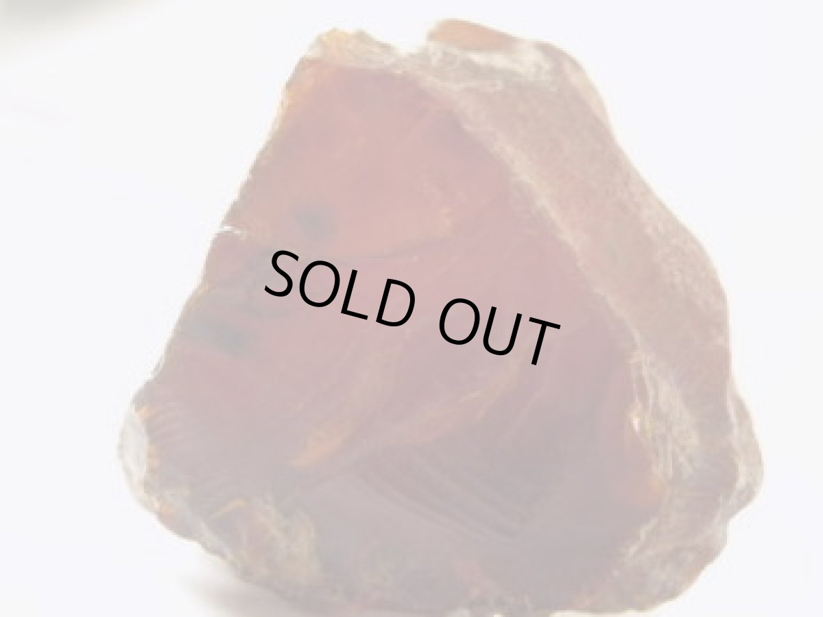 画像2: ミャンマー産アンバー(バーマイト)Ｅ (2)