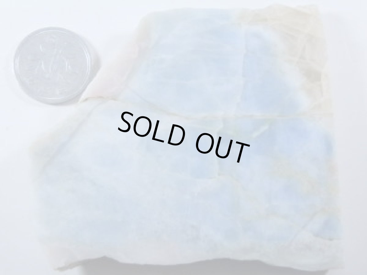 画像2: ヴィオラン／インカローズＡ (2)