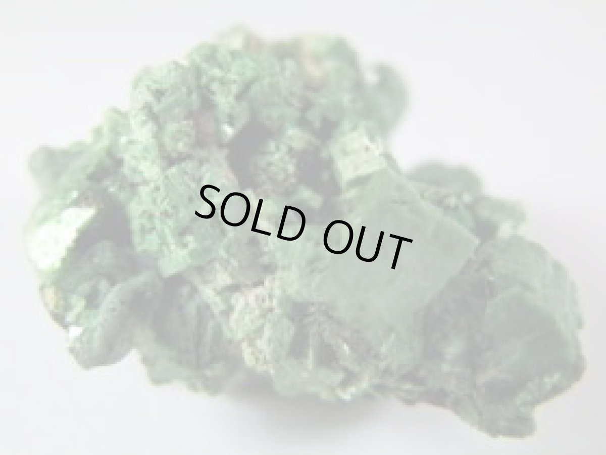 画像3: トーバーナイトＢ (3)