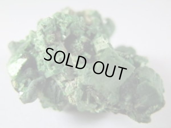 トーバーナイトB - セルフクリエイション