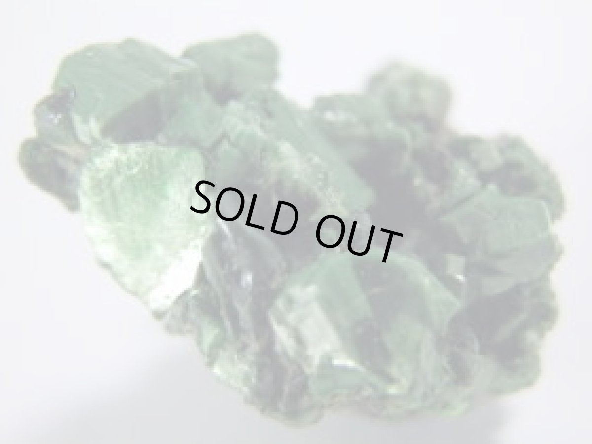 画像2: トーバーナイトＢ (2)