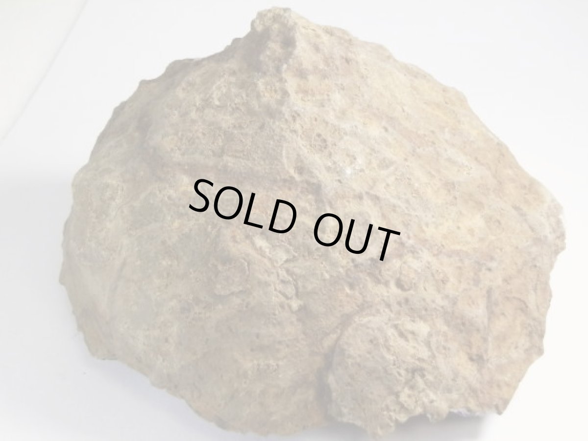 画像5: ウルグアイアメジストＨ (5)