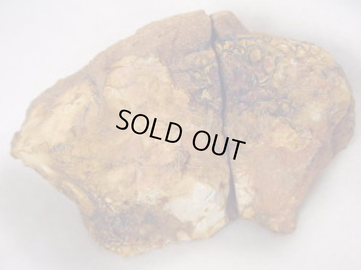 画像6: ナッツオパール原石ペアＤ (6)