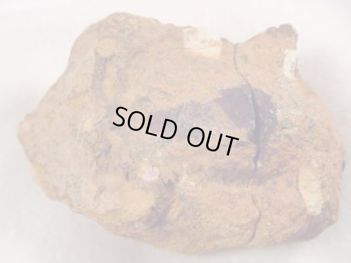 画像7: ナッツオパール原石ペアＤ (7)