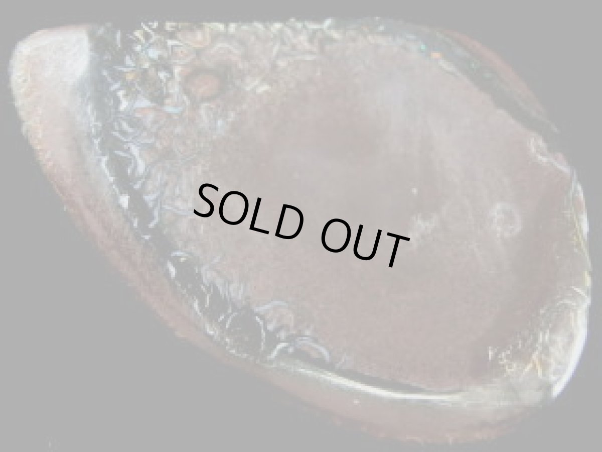 画像4: ナッツオパール磨きＣ (4)