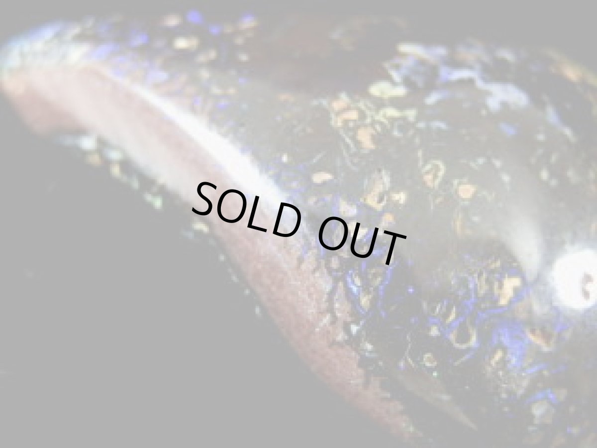 画像6: ナッツオパール磨きＣ (6)