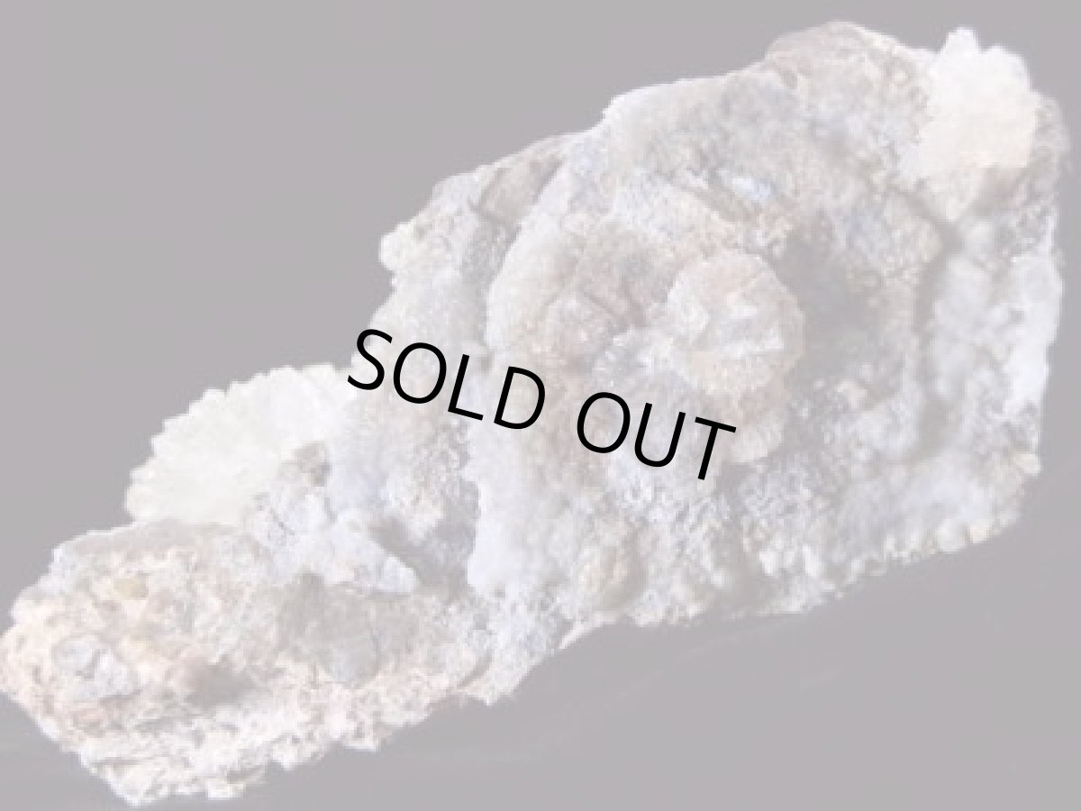 画像3: フラワー状ハイヤライトオパールＡ (3)