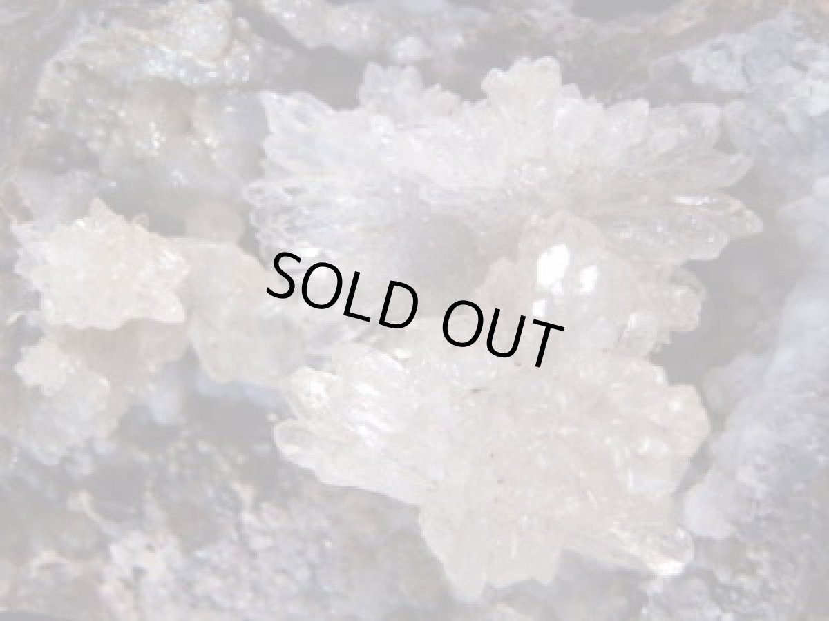 画像2: フラワー状ハイヤライトオパールＡ (2)