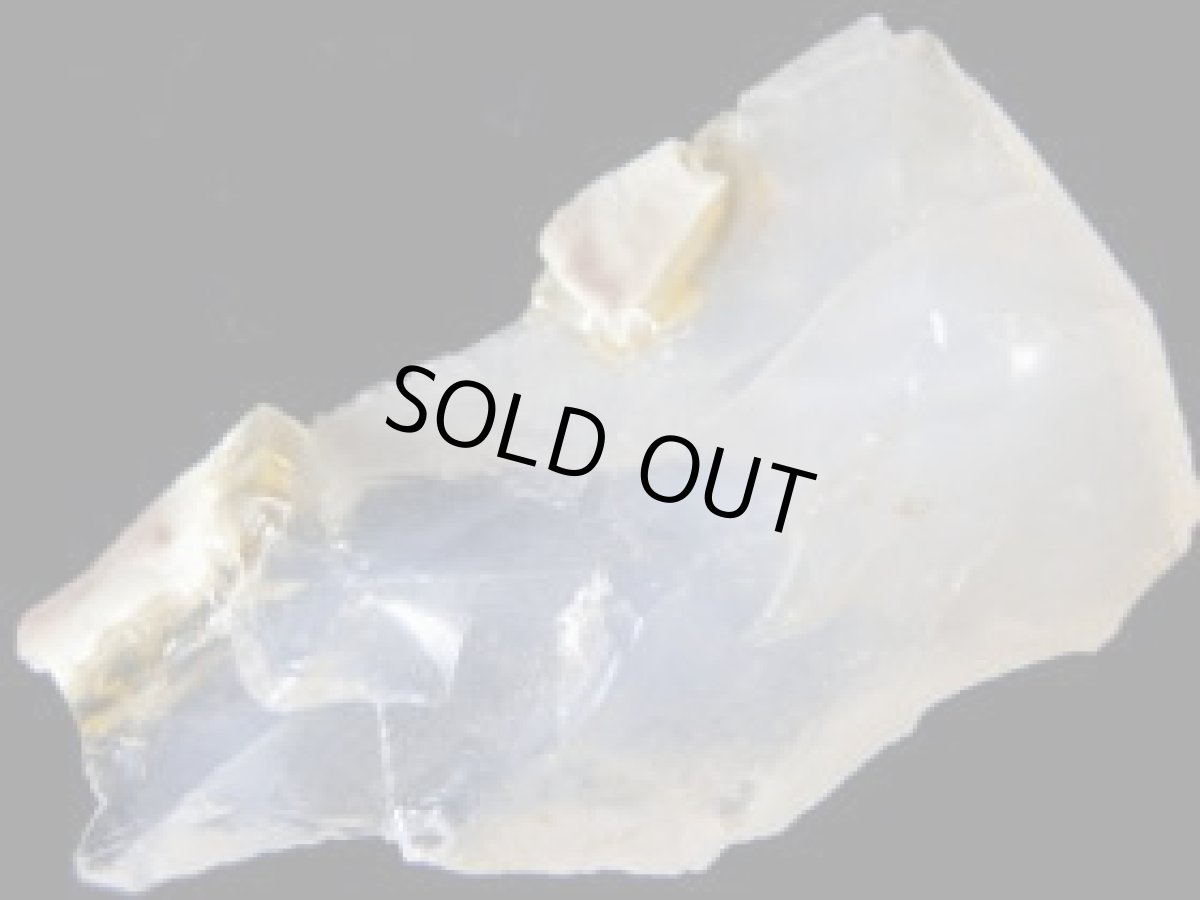 画像2: オレゴンオパールＨ (2)