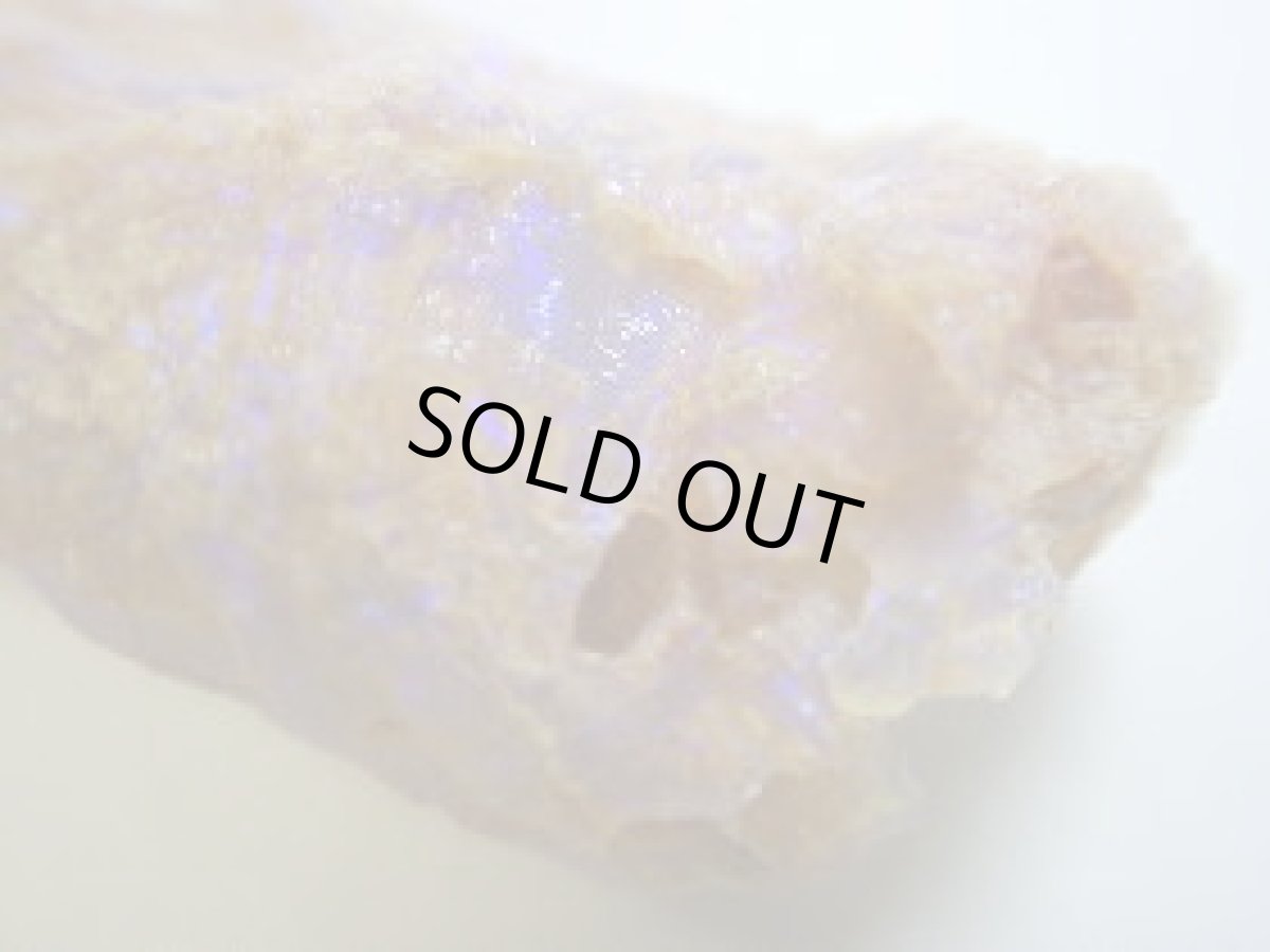 画像3: キルピー産オパール化骨化石Ｃ (3)