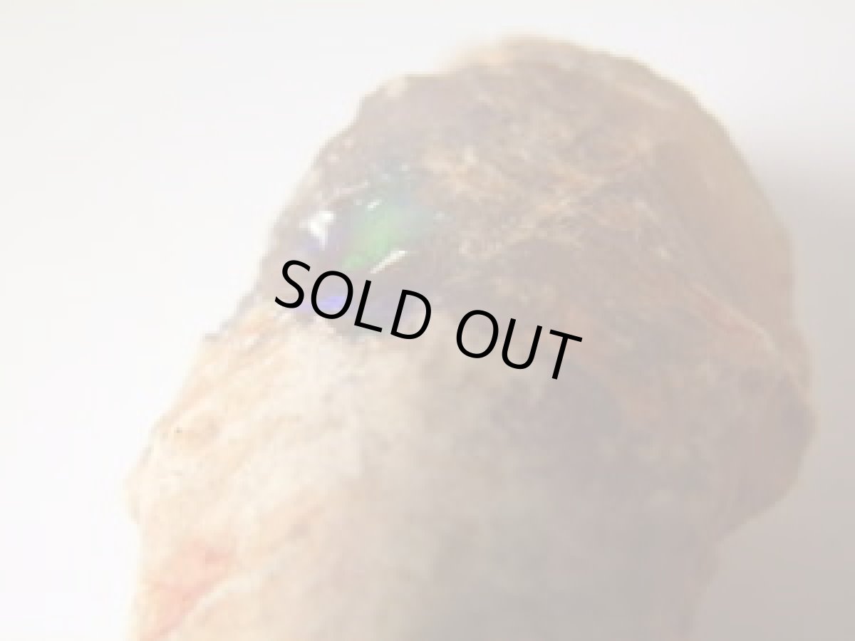 画像3: ブラックオパール化松ぼっくり化石Ａ (3)