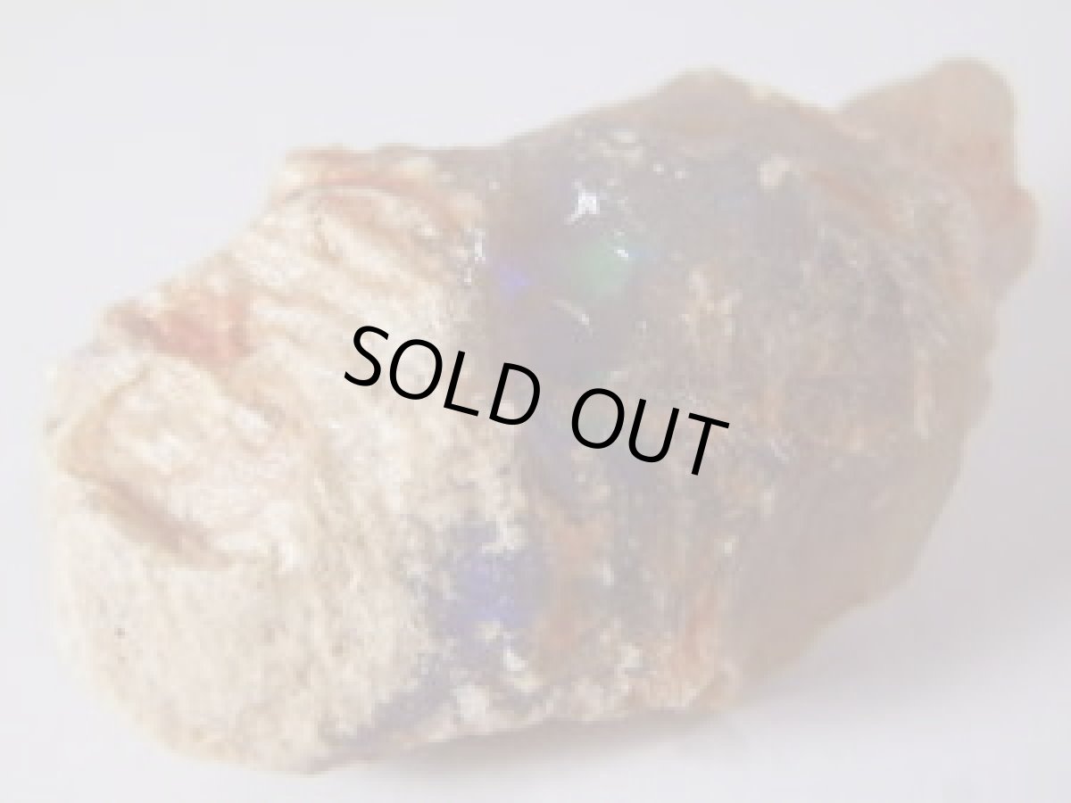 画像4: ブラックオパール化松ぼっくり化石Ａ (4)