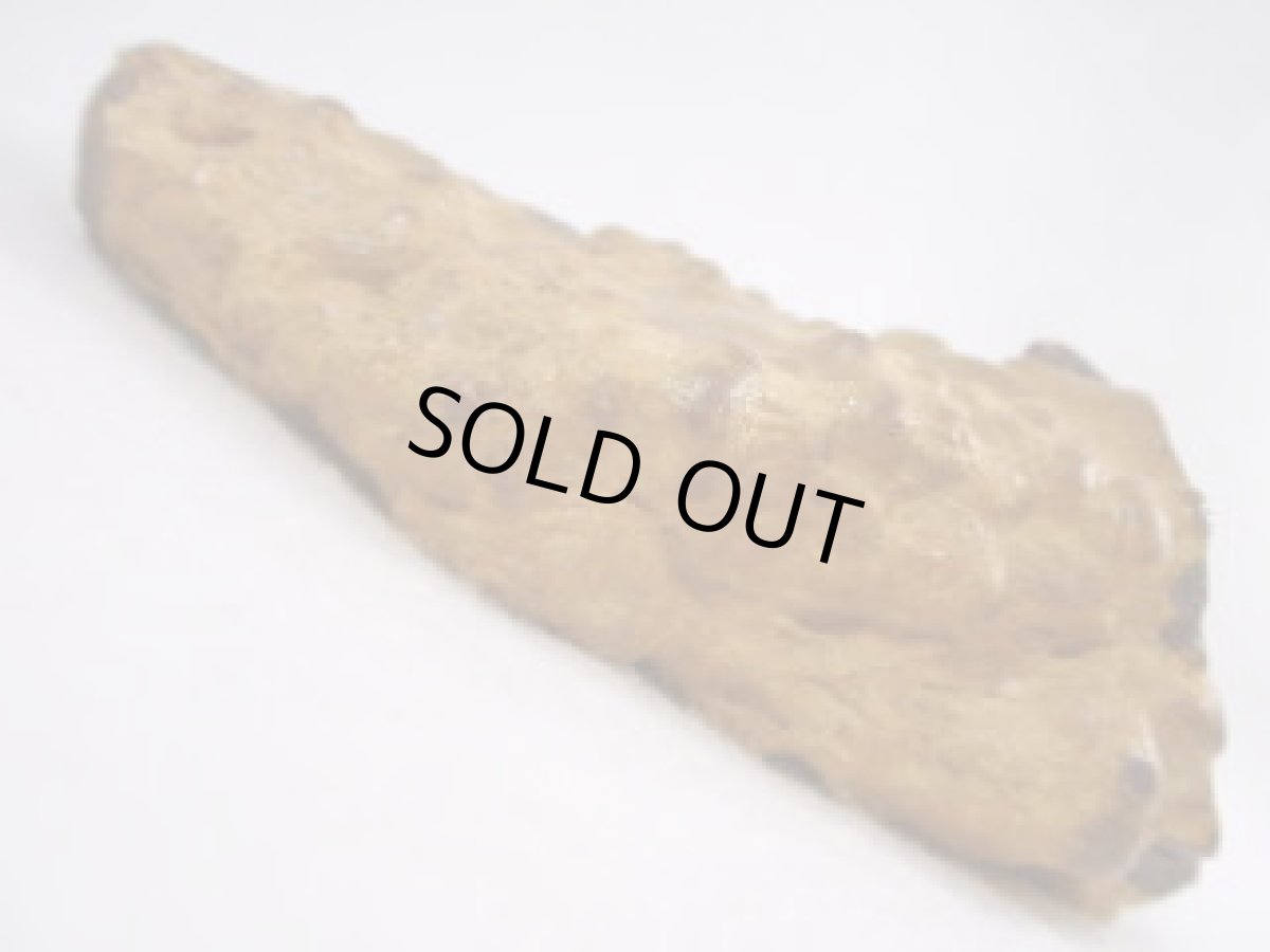 画像8: オパール化ストロマトライト大Ａ (8)