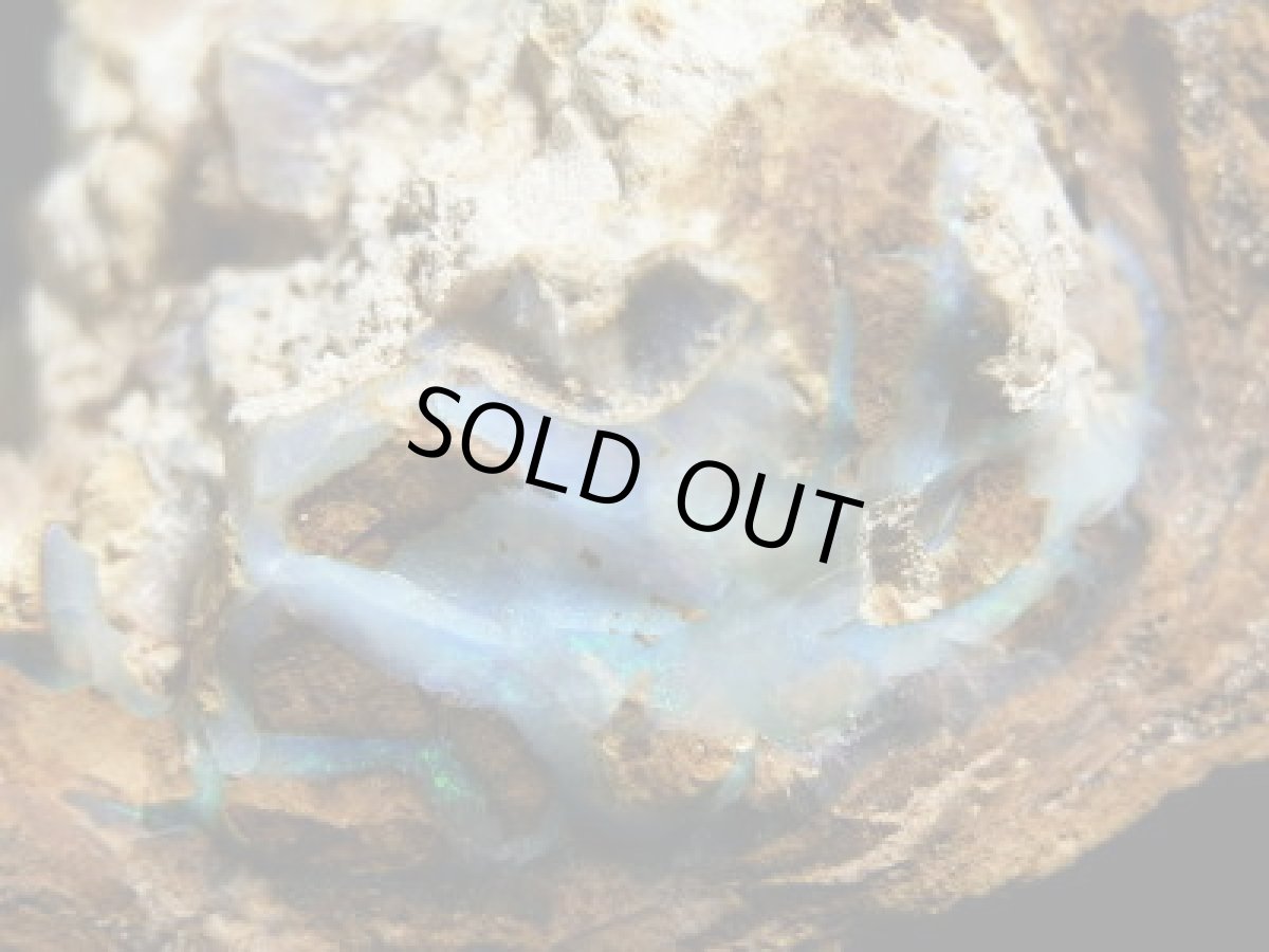 画像3: キルピー産ウッドオパールＡ (3)