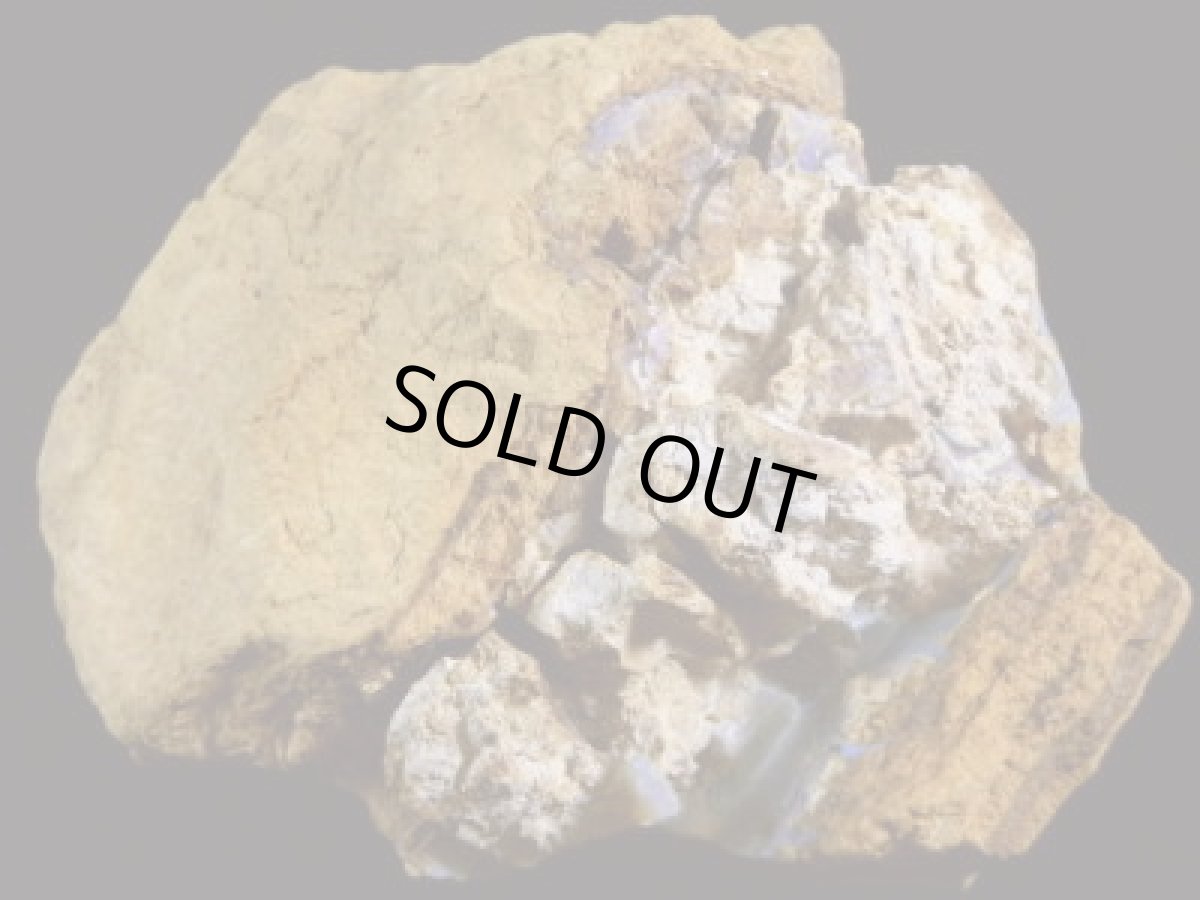 画像2: キルピー産ウッドオパールＡ (2)