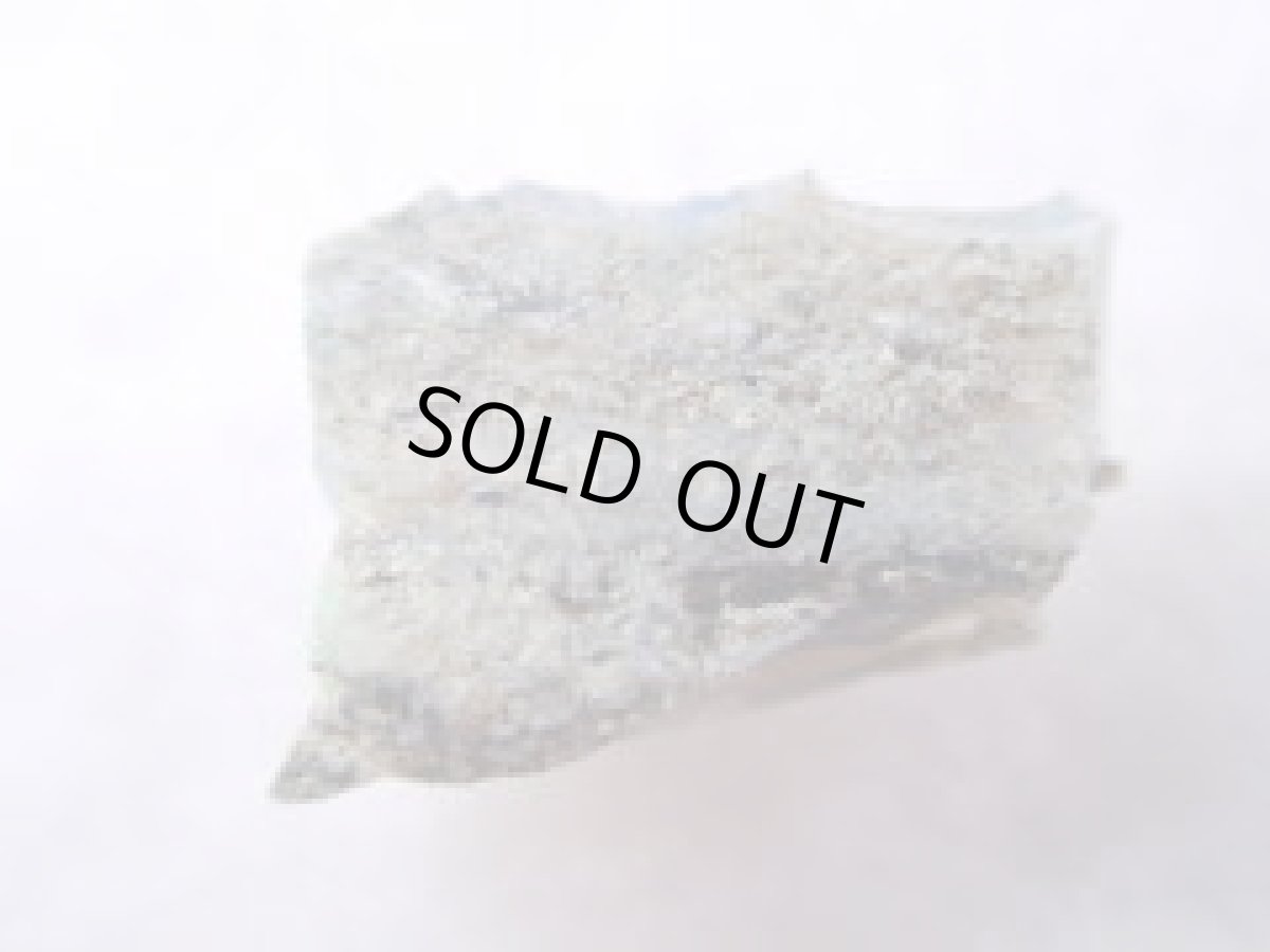 画像3: ネバダ産ウッドオパールF (3)