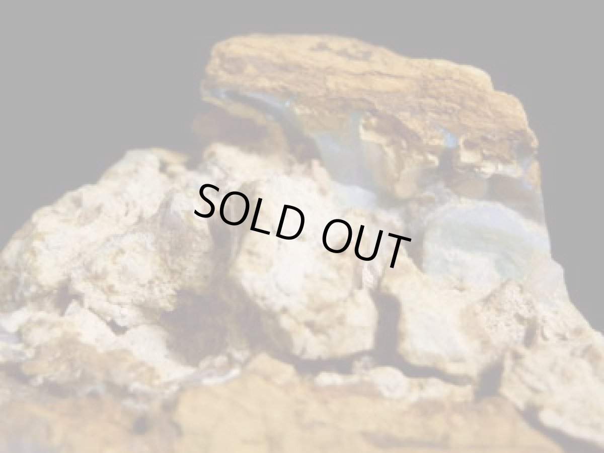 画像4: キルピー産ウッドオパールＡ (4)