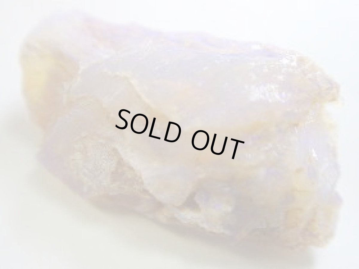 画像2: キルピー産オパール化骨化石Ｃ (2)