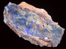 画像3: ライトニングリッジ産オパール化骨化石Ｃ (3)
