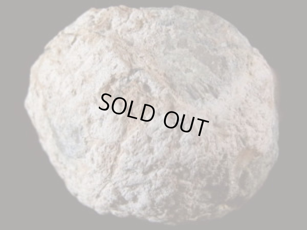 画像5: エチオピアオパールノジュールＡ (5)