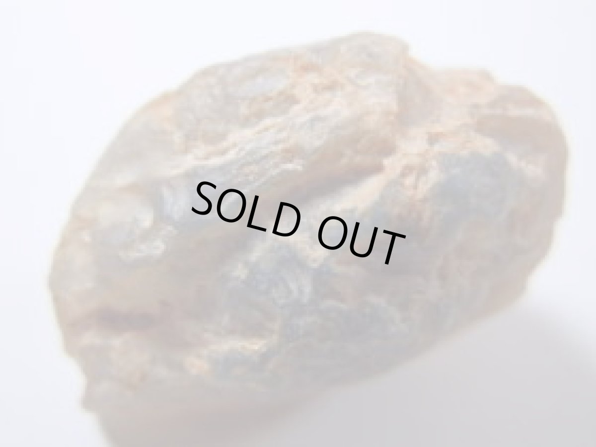 画像3: ライトニングリッジ産オパール化貝化石Ｂ (3)