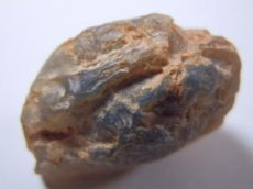 画像3: ライトニングリッジ産オパール化貝化石Ｂ (3)