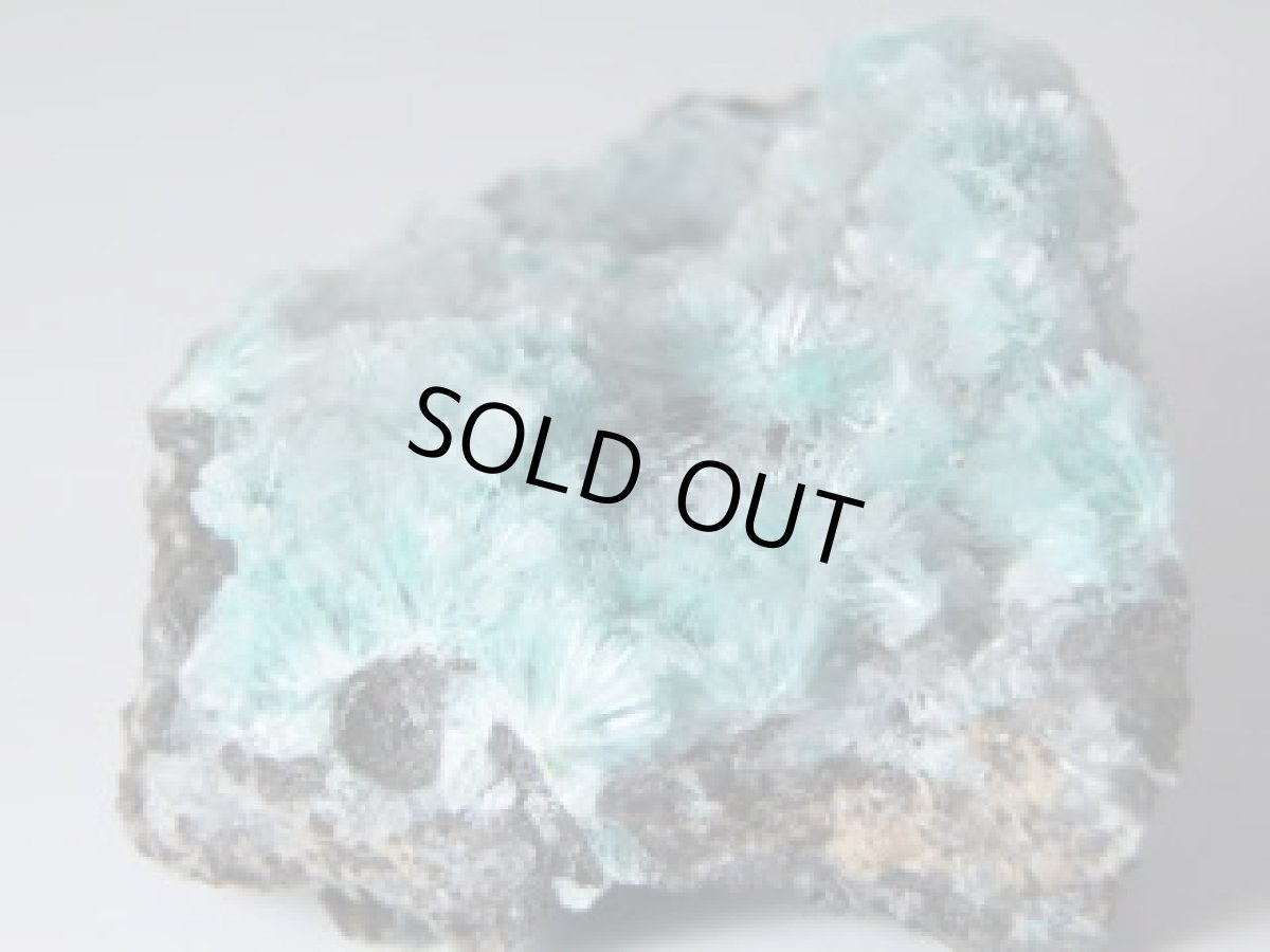 画像3: 水亜鉛銅鉱／異極鉱／ローザ石／菱亜鉛鉱Ｄ (3)