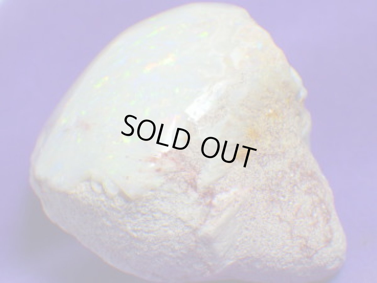 画像9: クーパーペディ産オパール化貝化石美品 (9)