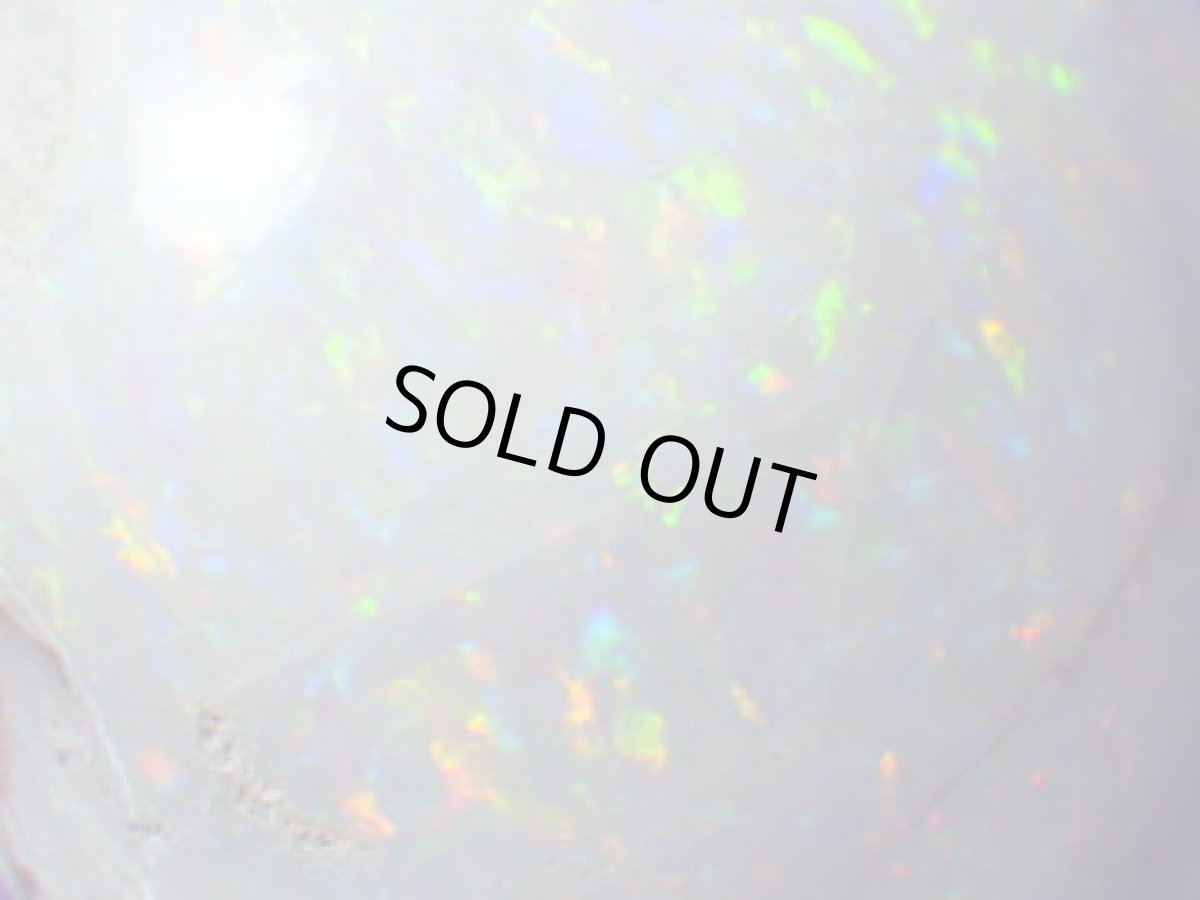 画像8: クーパーペディ産オパール化貝化石美品 (8)