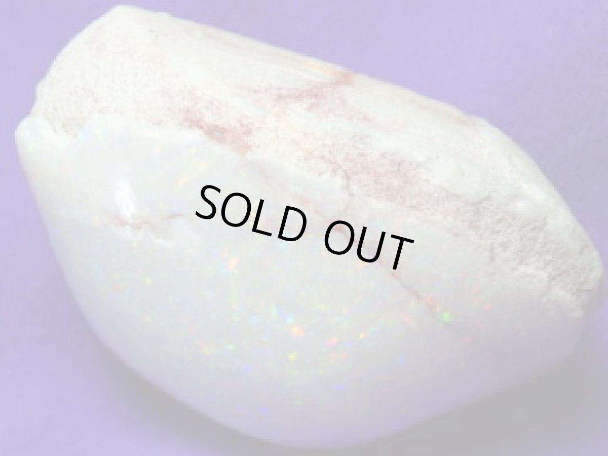 画像7: クーパーペディ産オパール化貝化石美品 (7)