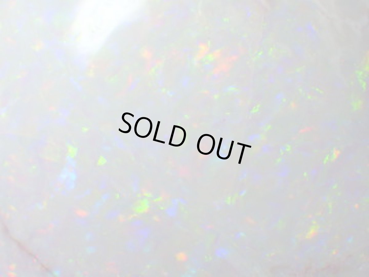 画像3: クーパーペディ産オパール化貝化石美品 (3)