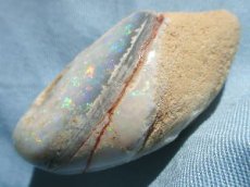 画像6: クーパーペディ産オパール化貝化石Ａ (6)