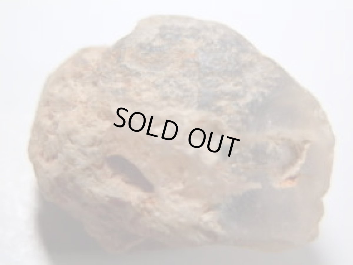 画像2: ライトニングリッジ産オパール化貝化石Ｂ (2)