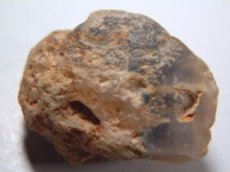 画像2: ライトニングリッジ産オパール化貝化石Ｂ (2)