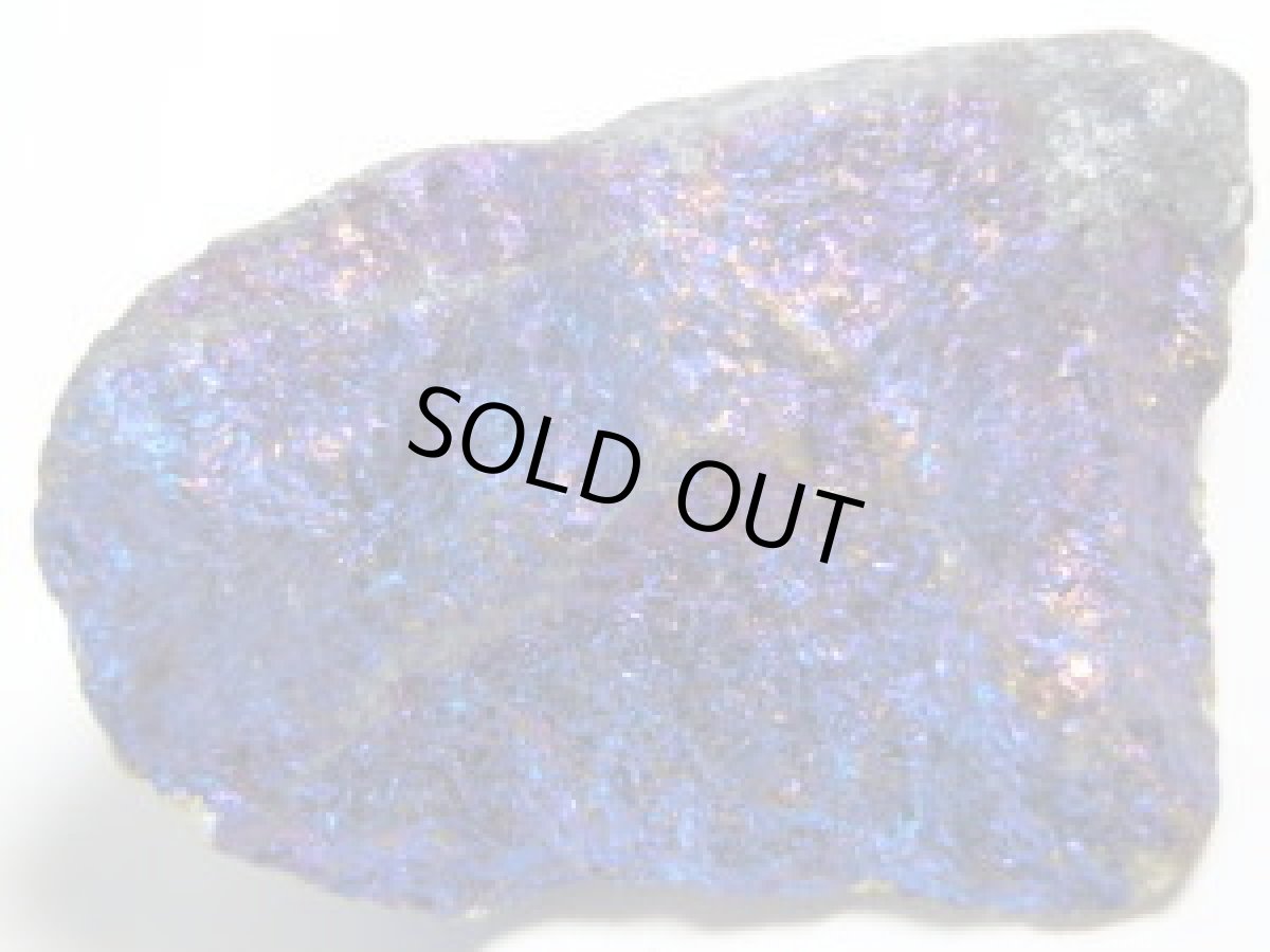 画像2: ピーコックＡ (2)