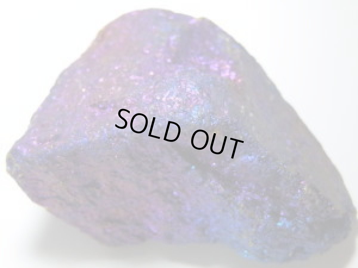 画像2: ピーコックB (2)